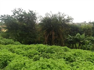 1335 m² Land available in Umlazi