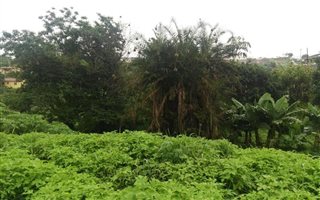1335 m² Land available in Umlazi