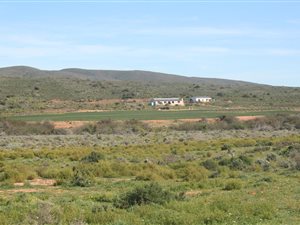 141.8 ha Farm in Robertson