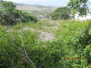 899 m² Land available in Reebok