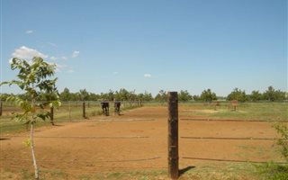66 ha Farm in Hartswater