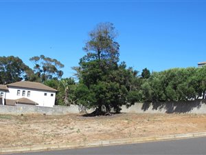 840 m² Land available in Van Riebeeckshof