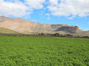 9000 m² Farmland in Montagu