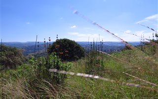 1240 m² Land available in Nagina
