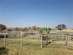 89 ha Farm in Vryburg
