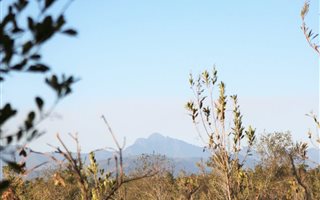 8700 m² Land available in Plettenberg Bay