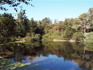 14.8 ha Farm in Elgin