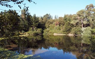 14.8 ha Farm in Elgin