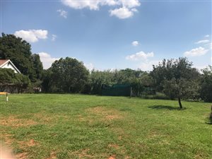 5 ha Farm in Knopjeslaagte