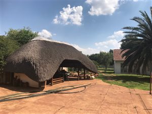 55901 ha Farm in Knopjeslaagte