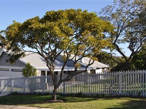 3 Bed House in Seaside Longships