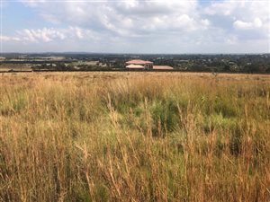 1.5 ha Land available in Walkerville