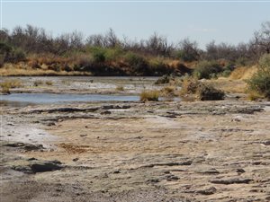 2083 ha Farm in Beaufort West