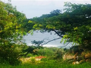 1341 m² Land available in Elysium