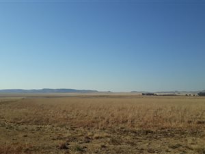 548 ha Farm in Dewetsdorp