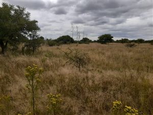 1.4 ha Land available in Eduanpark