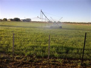 14 ha Farm in Jacobsdal