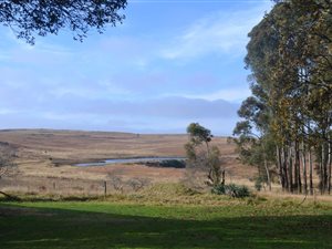 340 ha Farm in Dullstroom