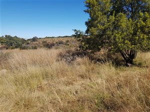 2895 m² Land available in Heidelberg Kloof Estate
