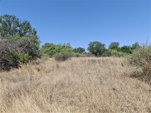 1 ha Land available in Leeuwfontein Estate