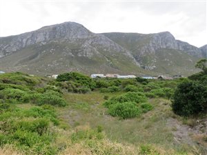 1170 m² Land available in Bettys Bay