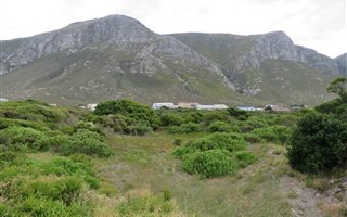 1170 m² Land available in Bettys Bay