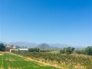3 ha Farm in Calitzdorp