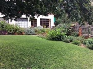 4.9 ha Farm in Wildebeeshoek AH