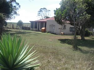 50 ha Farm in Port Elizabeth Central