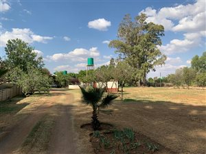 8000 m² Farm in Vyfhoek