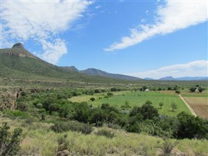 10 ha Farm in Graaff Reinet