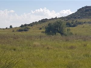 413.4 ha Farm in Ficksburg