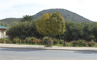 1245 m² Land available in Willowmore