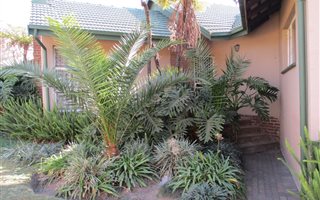 3 Bedroom House in Birchleigh