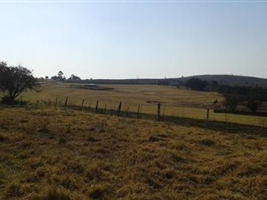8.7 ha Farm in Howick