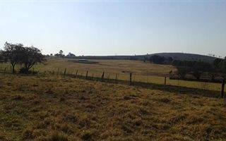 8.7 ha Farm in Howick
