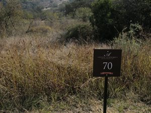 1117 m² Land available in Broederstroom