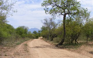 1.1 ha Land available in Raptors View Wildlife Estate