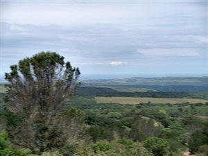 2012 m² Land available in Bathurst and Surrounds