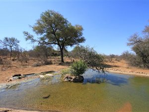 21 ha Farm in Hoedspruit