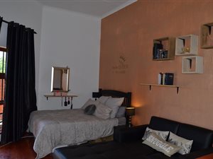 Studio Apartment in Honeydew Manor