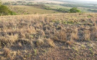 4.2 ha Land available in Boschkop