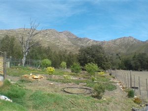 83 ha Farm in George Central