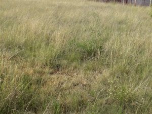 1 ha Farm in Strydfontein and surrounds