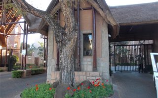 1 Bedroom Apartment in Pineslopes