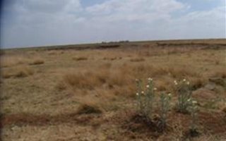4 ha Land available in Withok Estates