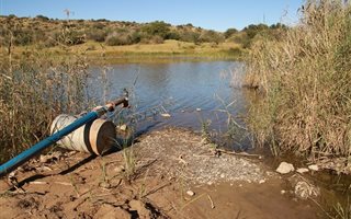 731 ha Farm in Koffiefontein