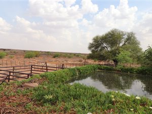 2878 ha Farm in Hopetown