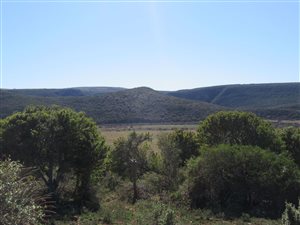 2145 ha Farm in Alexandria