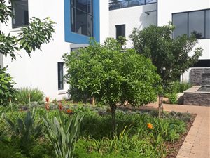 3300 m² Office Space in Hatfield